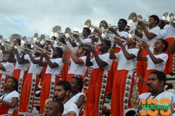 FAMU Trumpet section in the stands